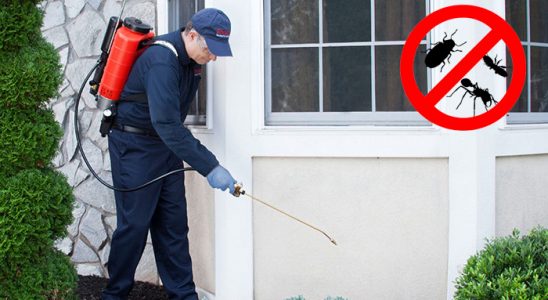 Bünyan Hamam Böceği İlaçlama böcek ilaçlama ve haşere kontrolü — ilaclama-tr.com
